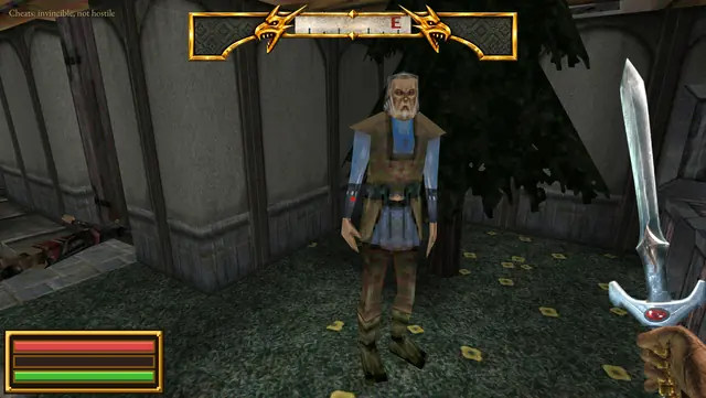 An old villager in a leather tunic